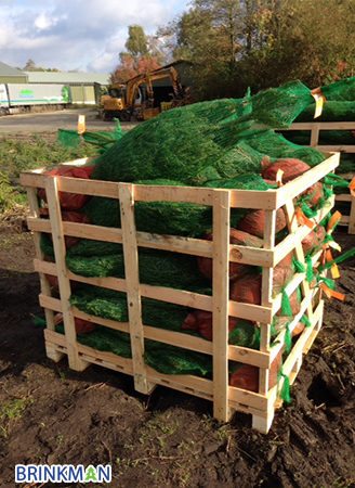 ChristmasTreepackBox1b